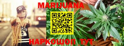 крисы Славгород