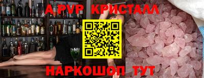 крисы Славгород