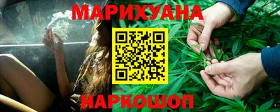 крисы Славгород