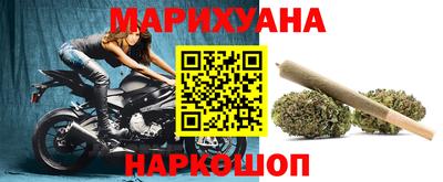 крисы Славянск-на-Кубани