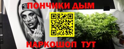 крисы Славянск-на-Кубани