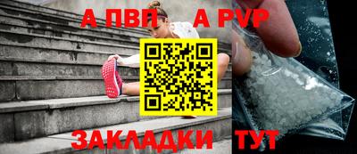 крисы Славгород