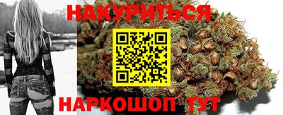 крисы Славгород