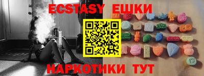 крисы Славгород