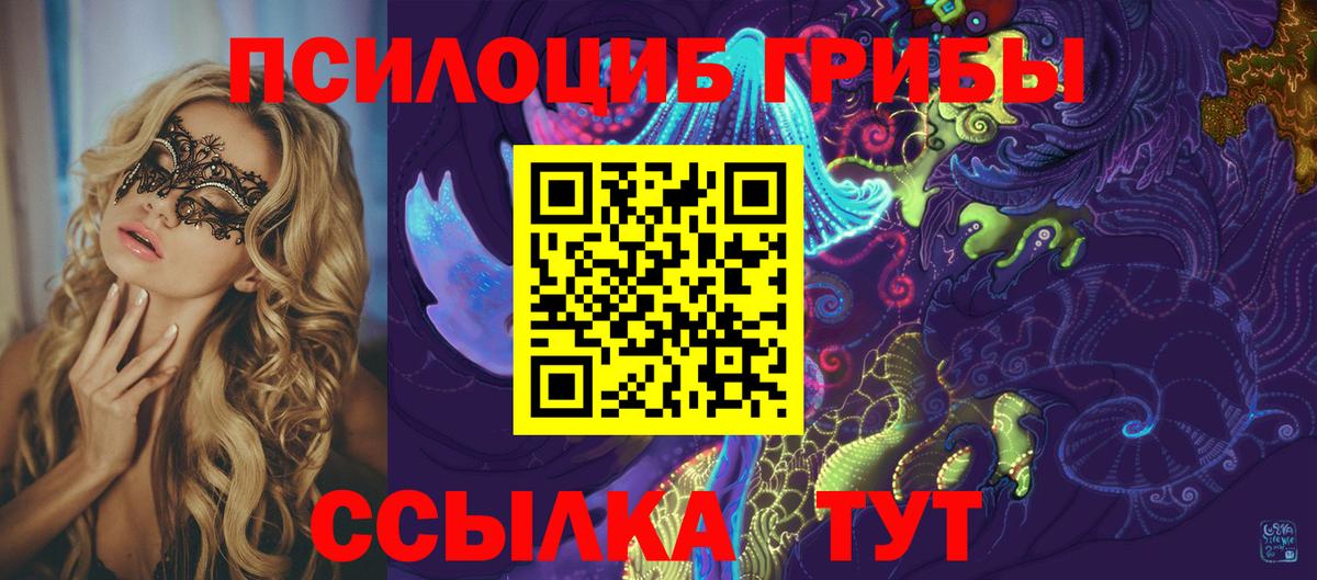 Псилоцибиновые грибы Cubensis  Галлюциногенные грибы Cubensis  Донецк  Вход с VPN 